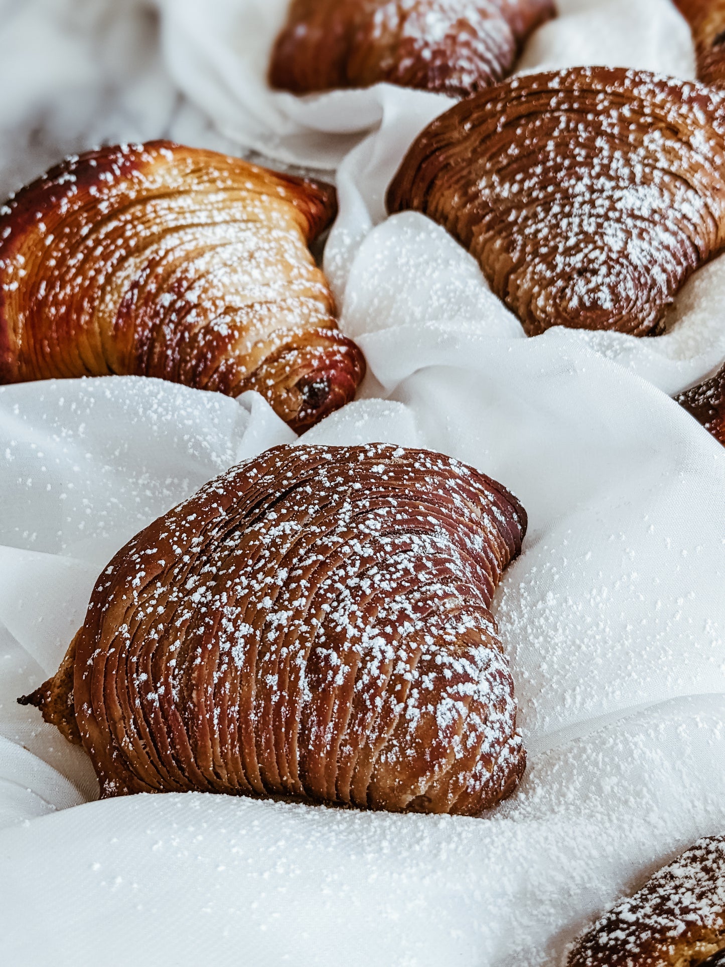 Sfogliatelle Set of 8 (Christmas)