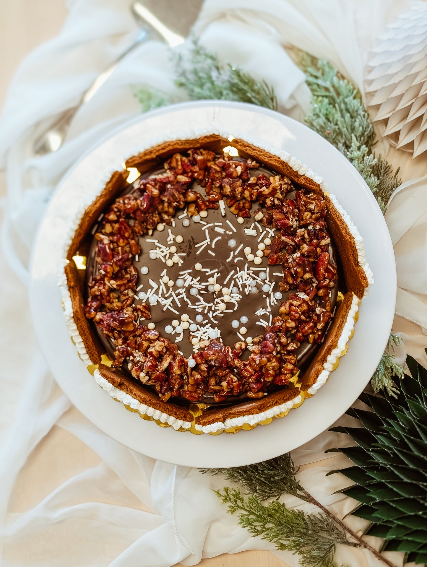 Gingerbread Turtle Cheesecake (Christmas)